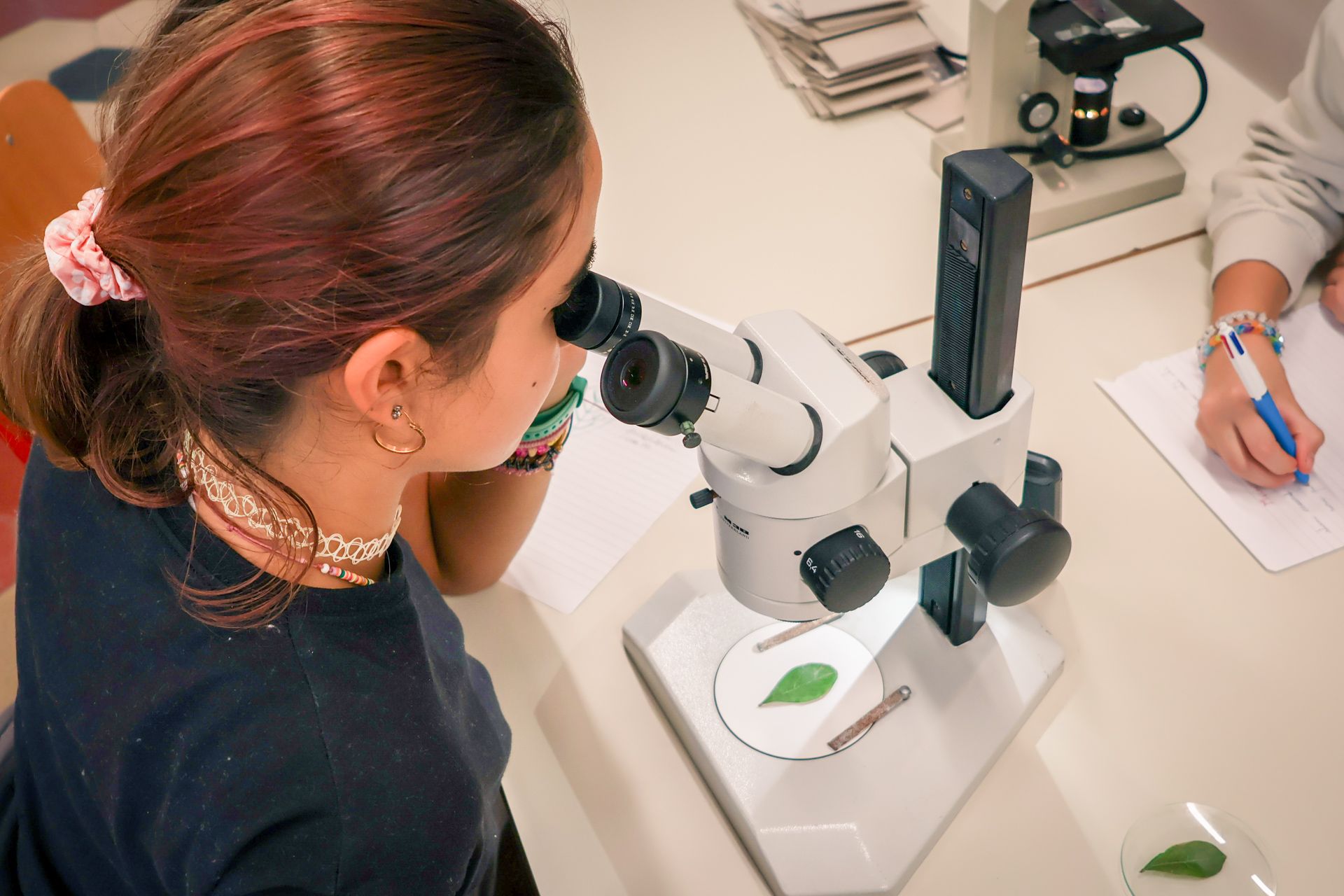 laboratorio-scienze-1-audiofonetica